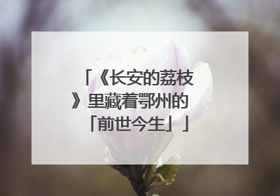《长安的荔枝》里藏着鄂州的「前世今生」