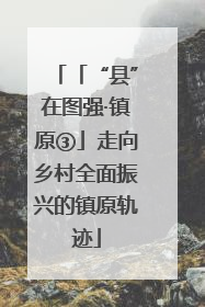 「“县”在图强·镇原③」走向乡村全面振兴的镇原轨迹