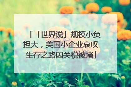 「世界说」规模小负担大，美国小企业哀叹生存之路因关税被堵