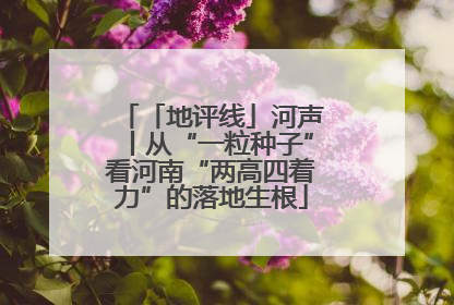 「地评线」河声丨从“一粒种子”看河南“两高四着力”的落地生根