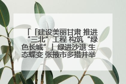 「建设美丽甘肃 推进“三北”工程 构筑“绿色长城”」绿进沙退 生态蝶变 张掖市多措并举加大防沙治沙力度