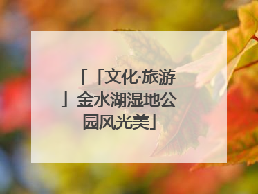「文化·旅游」金水湖湿地公园风光美