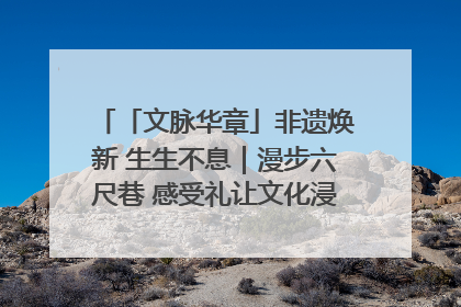「文脉华章」非遗焕新 生生不息｜漫步六尺巷 感受礼让文化浸润的“巷”往生活
