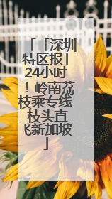 「深圳特区报」24小时！岭南荔枝乘专线 枝头直飞新加坡