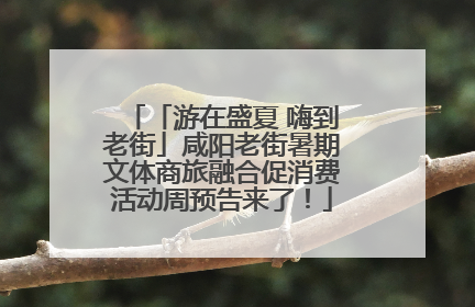 「游在盛夏 嗨到老街」咸阳老街暑期文体商旅融合促消费活动周预告来了！