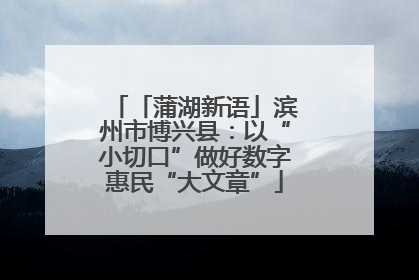 「蒲湖新语」滨州市博兴县：以“小切口”做好数字惠民“大文章”