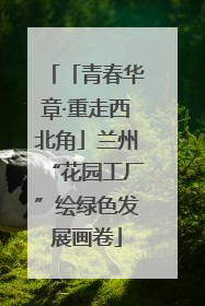 「青春华章·重走西北角」兰州“花园工厂”绘绿色发展画卷