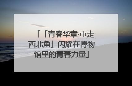 「青春华章·重走西北角」闪耀在博物馆里的青春力量