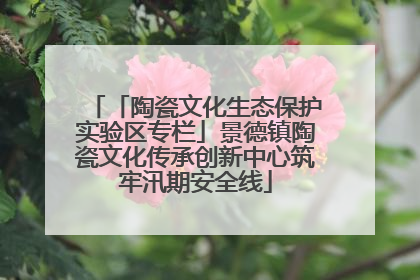 「陶瓷文化生态保护实验区专栏」景德镇陶瓷文化传承创新中心筑牢汛期安全线