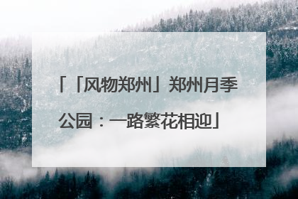 「风物郑州」郑州月季公园：一路繁花相迎