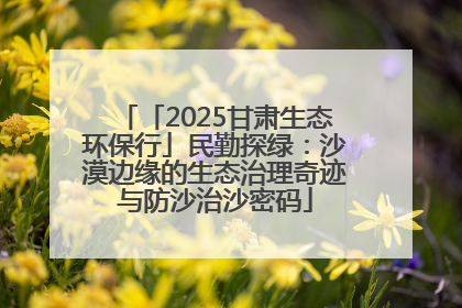 「2025甘肃生态环保行」民勤探绿：沙漠边缘的生态治理奇迹与防沙治沙密码
