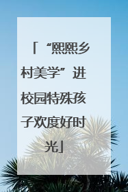 “熙熙乡村美学”进校园特殊孩子欢度好时光