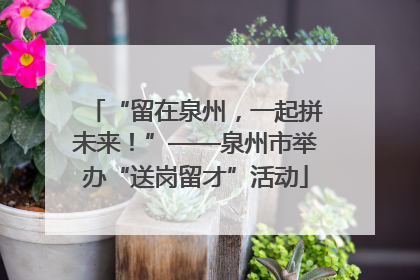“留在泉州，一起拼未来！”——泉州市举办“送岗留才”活动