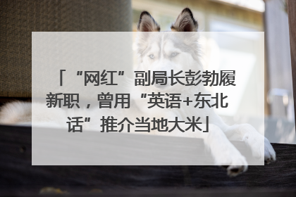 “网红”副局长彭勃履新职，曾用“英语+东北话”推介当地大米