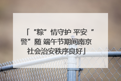 “粽”情守护 平安“警”随 端午节期间南京社会治安秩序良好