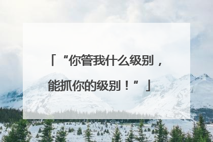 “你管我什么级别，能抓你的级别！”