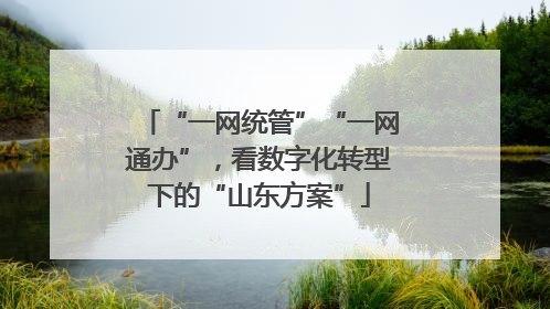 “一网统管”“一网通办”，看数字化转型下的“山东方案”