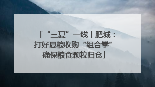 “三夏”一线丨肥城：打好夏粮收购“组合拳” 确保粮食颗粒归仓
