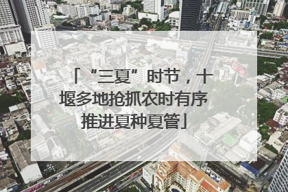“三夏”时节，十堰多地抢抓农时有序推进夏种夏管