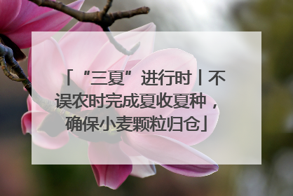 “三夏”进行时丨不误农时完成夏收夏种，确保小麦颗粒归仓
