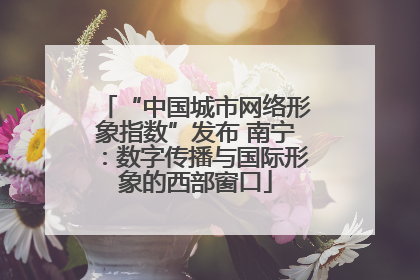 “中国城市网络形象指数”发布 南宁：数字传播与国际形象的西部窗口
