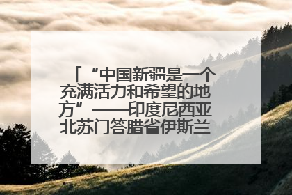 “中国新疆是一个充满活力和希望的地方”——印度尼西亚北苏门答腊省伊斯兰教代表团参访新疆