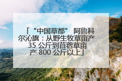 “中国草都” 阿鲁科尔沁旗：从野生牧草亩产 35 公斤到苜蓿草亩产 800 公斤以上