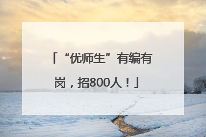 “优师生”有编有岗，招800人！