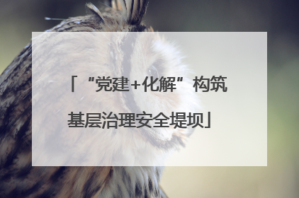 “党建+化解”构筑基层治理安全堤坝