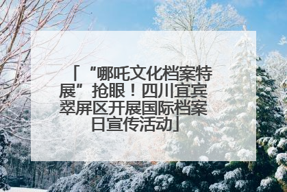 “哪吒文化档案特展”抢眼！四川宜宾翠屏区开展国际档案日宣传活动