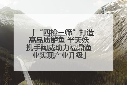“四检三筛”打造高品质鲈鱼 半天妖携手闽威助力福鼎渔业实现产业升级
