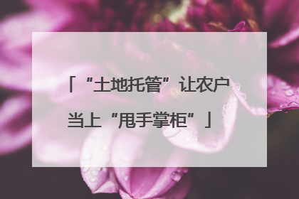 “土地托管”让农户当上“甩手掌柜”