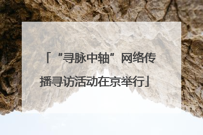 “寻脉中轴”网络传播寻访活动在京举行