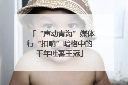 “声动青海”媒体行“扣响”暗格中的千年吐蕃王冠