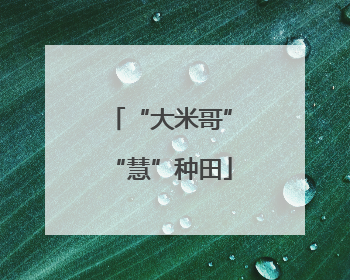 “大米哥”“慧”种田