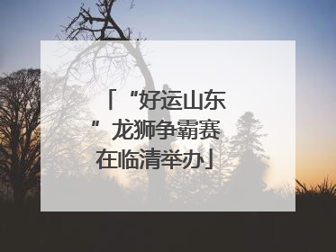 “好运山东”龙狮争霸赛在临清举办
