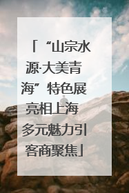 “山宗水源·大美青海”特色展亮相上海 多元魅力引客商聚焦