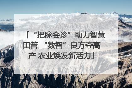 “把脉会诊”助力智慧田管 “数智”良方夺高产 农业焕发新活力