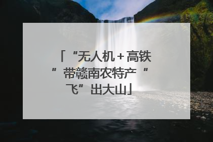 “无人机＋高铁”带赣南农特产“飞”出大山