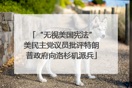 “无视美国宪法” 美民主党议员批评特朗普政府向洛杉矶派兵