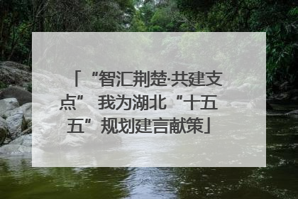 “智汇荆楚·共建支点” 我为湖北“十五五”规划建言献策