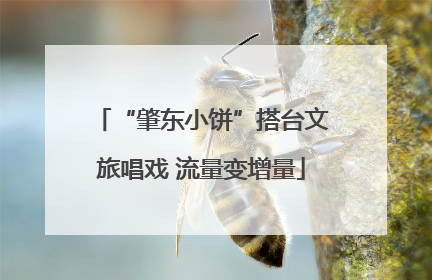 “肇东小饼”搭台文旅唱戏 流量变增量