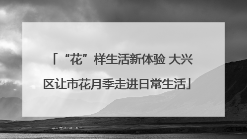 “花”样生活新体验 大兴区让市花月季走进日常生活