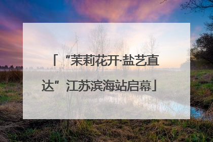 “茉莉花开·盐艺直达”江苏滨海站启幕