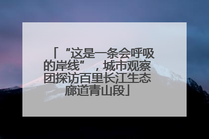 “这是一条会呼吸的岸线”，城市观察团探访百里长江生态廊道青山段
