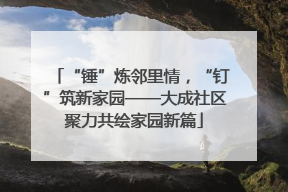 “锤”炼邻里情，“钉”筑新家园——大成社区聚力共绘家园新篇