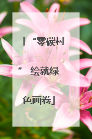 “零碳村” 绘就绿色画卷