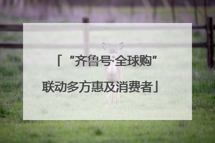 “齐鲁号·全球购”联动多方惠及消费者