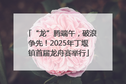 “龙”腾端午，破浪争先！2025年丁堰镇首届龙舟赛举行