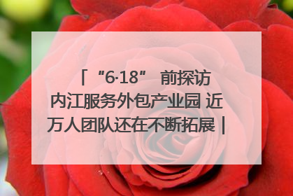 “6·18” 前探访内江服务外包产业园 近万人团队还在不断拓展｜内江东兴“红”在哪⑤